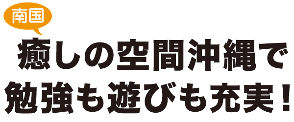 南国 癒しの空間沖縄で勉強も遊びも充実!