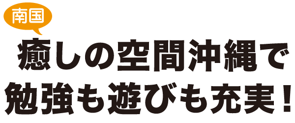 南国 癒しの空間沖縄で勉強も遊びも充実！